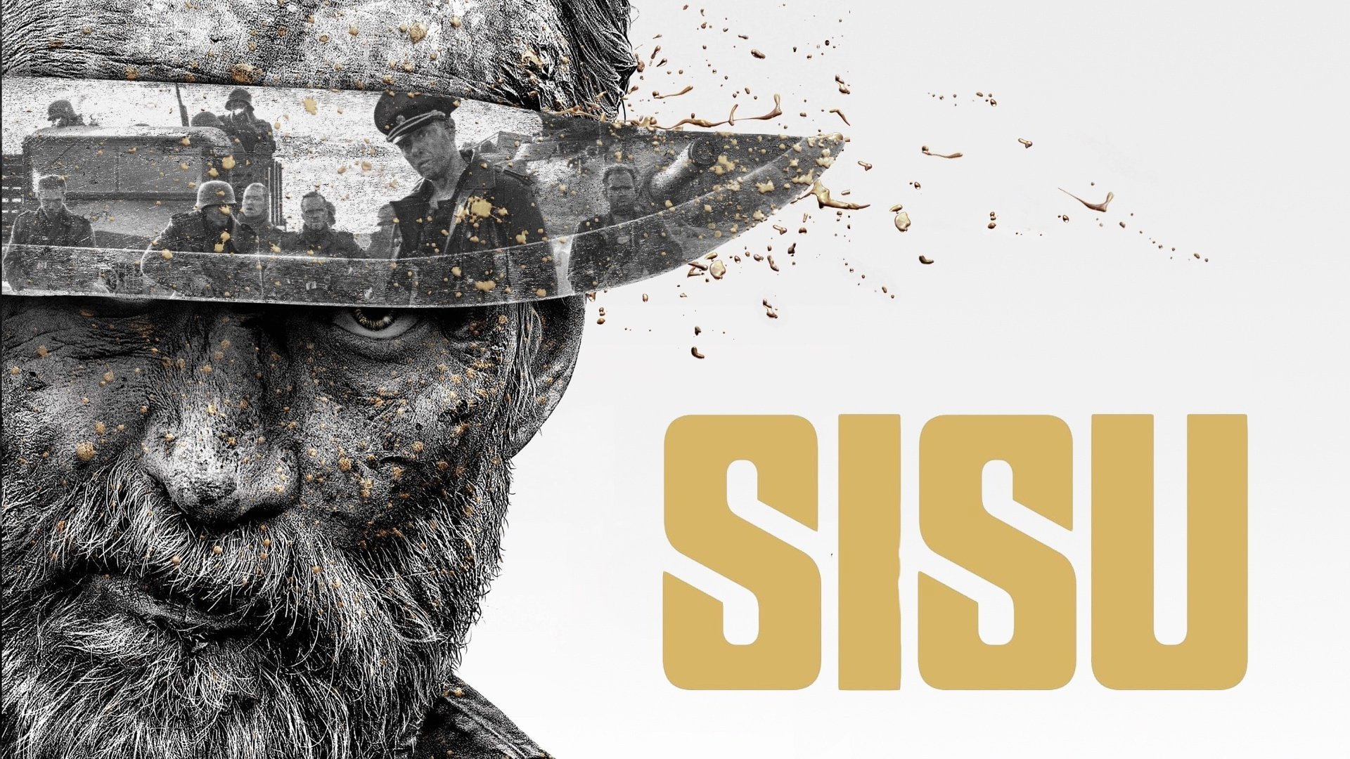 Sisu